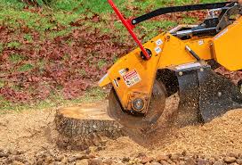 Tree and Shrub Care in Gruver, TX